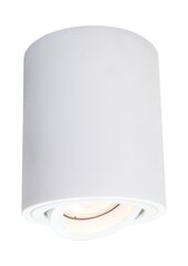 Light Prestige потолочный светильник Tulon цена и информация | Потолочные светильники | kaup24.ee