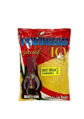 Sööt Fish Dream feeder sweet bream caramel, 1kg hind ja info | Kalasööt | kaup24.ee