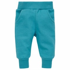 брюки оранжевого цвета с флипом цена и информация | Штаны для младенцев | kaup24.ee