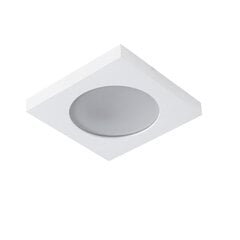 Герметичный светильник FLINI IP44 DSL W белый цена и информация | Потолочные светильники | kaup24.ee