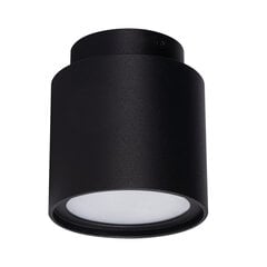 Потолочный светильник SONOR GU10 CO-B WW черный цена и информация | Потолочные светильники | kaup24.ee