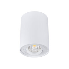 Kanlux laelamp Bord DLP-50-W hind ja info | Laelambid | kaup24.ee