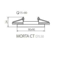 Стеклянный светильник MORTA CT-DTL50-SR цена и информация | Монтируемые светильники, светодиодные панели | kaup24.ee