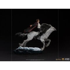 Iron Studios Harry Potter - Harry and Buckbeak Deluxe kujuke 1/10 цена и информация | Атрибутика для игроков | kaup24.ee