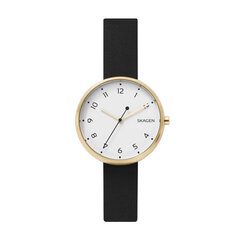 Skagen Signatur женские часы цена и информация | Женские часы | kaup24.ee