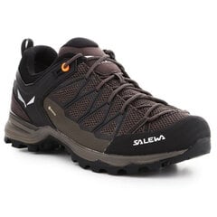 Сапоги для гор Salewa Trainer Lite Коричневый Мужской цена и информация | Кроссовки для мужчин | kaup24.ee