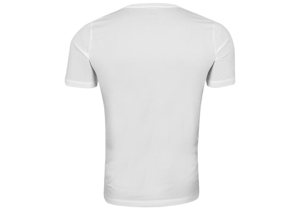 Puma T-Särgid Active Big Logo T White 586724 02 цена и информация | Meeste T-särgid | kaup24.ee