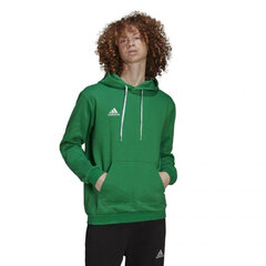 Džemper Adidas Ent22 Hoody Green HI2141 hind ja info | Meeste pusad | kaup24.ee