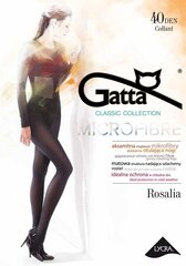 КОЛГОТКИ ROSALIA GATTA 40 цена и информация | Колготки | kaup24.ee