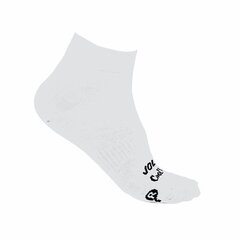 Носки Joluvi Classic Coolmax Low 2 Белый цена и информация | Мужские носки | kaup24.ee