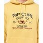 Dressipluus kapuutsiga, meeste Rip Curl Radiate Kollane hind ja info | Meeste pusad | kaup24.ee