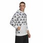 Dressipluus kapuutsiga, meeste Adidas Essentials Brandlove Valge цена и информация | Meeste pusad | kaup24.ee