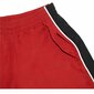 Täikasvanute püksid Nike Just Do It Punane Mehed цена и информация | Ujumispüksid, shortsid | kaup24.ee