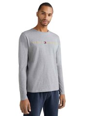 Alussärk TOMMY HILFIGER Logo Gold Grey UM0UM01640P4A цена и информация | Мужские футболки | kaup24.ee