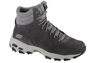 Skechers D'Lites - Chill Flurry, Naiste matkajalatsid, Hall hind ja info | Naiste saapad | kaup24.ee