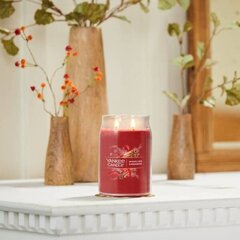 Sparkling Cinnamon - Yankee Candle Signature - большая свеча с двумя фитилями цена и информация | Подсвечники, свечи | kaup24.ee