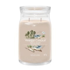 Seaside Woods - большая свеча Yankee Candle цена и информация | Подсвечники, свечи | kaup24.ee