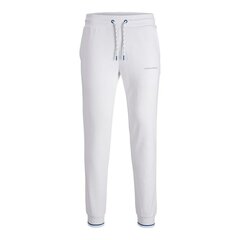 Спортивные штаны для взрослых Jack & Jones JPSTGORDON JJGLOBUS  12225105  Белый Мужской цена и информация | Мужская спортивная одежда | kaup24.ee