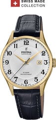 Festina Šveitsis valmistatud 20010/1 hind ja info | Meeste käekellad | kaup24.ee