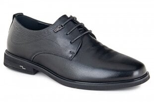 Мужские ботинки RESPECT 148314044751 цена и информация | Мужские ботинки | kaup24.ee