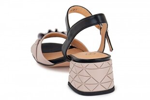 Naiste sandaalid WILMAR 263212041416 hind ja info | Naiste sandaalid | kaup24.ee