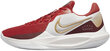 Nike Jalatsid Precision VI Red DD9535 006 DD9535 006/12 цена и информация | Spordi- ja vabaajajalatsid meestele | kaup24.ee