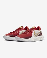 Nike Обувь Precision VI Red DD9535 006 DD9535 006/12 цена и информация | Кроссовки для мужчин | kaup24.ee