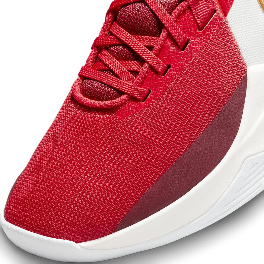 Nike Jalatsid Precision VI Red DD9535 006 DD9535 006/12 цена и информация | Spordi- ja vabaajajalatsid meestele | kaup24.ee