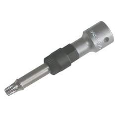 Otsik 1/2" T50 TORX generaatori jaoks цена и информация | Дополнительные принадлежности | kaup24.ee