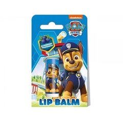 Бальзам для губ Air-Val Paw Patrol Черника 4,4г цена и информация | Помады, бальзамы, блеск для губ | kaup24.ee