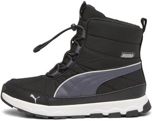 Puma Jalatsid Evolve Boot Jr Black 392644 01 392644 01/4 hind ja info | Spordi- ja vabaajajalatsid meestele | kaup24.ee