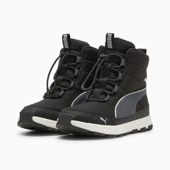 Puma Обувь Evolve Boot Jr Black 392644 01 392644 01/4 цена и информация | Кроссовки для мужчин | kaup24.ee