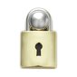 Crocs™ PADLOCK DANGLE G1133500-MU 303789 цена и информация | Naiste plätud ja sussid | kaup24.ee