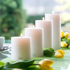 Qult Farluce Trend - подсвечник в форме свечи белый Ø 8 см, высота 9, 12, 15, 18 см - набор из 4 свечей цена и информация | Подсвечники, свечи | kaup24.ee