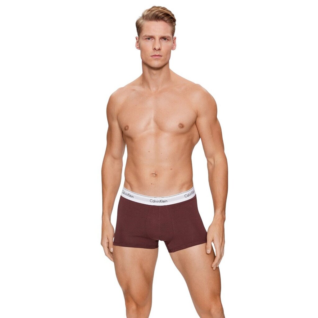 Bokserid CALVIN KLEIN Trunk 3Pk 000NB2380AGVZ цена и информация | Meeste aluspesu | kaup24.ee