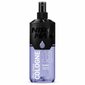 Raseerimisjärgne losjoon Nishman After Shave Cologne N.11 Leader meestele, 400 ml цена и информация | Raseerimisvahendid | kaup24.ee