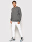 Nike Džemprid Park Crew Sweater Grey CW6902 071 CW6902 071/L цена и информация | Meeste pusad | kaup24.ee