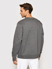 Nike Джемпер Park Crew Sweater Grey CW6902 071 CW6902 071/L цена и информация | Мужские толстовки | kaup24.ee