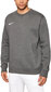 Nike Džemprid Park Crew Sweater Grey CW6902 071 CW6902 071/L цена и информация | Meeste pusad | kaup24.ee