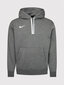 Nike Džemprid NK Men Park 20 Fleece Hoodie Grey CW6894 071 CW6894 071/2XL цена и информация | Meeste pusad | kaup24.ee