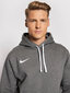 Nike Džemprid NK Men Park 20 Fleece Hoodie Grey CW6894 071 CW6894 071/2XL цена и информация | Meeste pusad | kaup24.ee