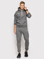 Nike Džemprid NK Men Park 20 Fleece Hoodie Grey CW6894 071 CW6894 071/2XL цена и информация | Meeste pusad | kaup24.ee