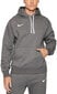 Nike Džemprid NK Men Park 20 Fleece Hoodie Grey CW6894 071 CW6894 071/2XL цена и информация | Meeste pusad | kaup24.ee