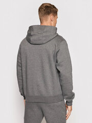 Nike Джемпер NK Men Park 20 Fleece Hoodie Grey CW6894 071 CW6894 071/2XL цена и информация | Мужские толстовки | kaup24.ee