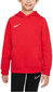 Nike Džemprid NK Jr Park 20 Fleece Hoodie Red CW6896 657 CW6896 657/S цена и информация | Meeste pusad | kaup24.ee