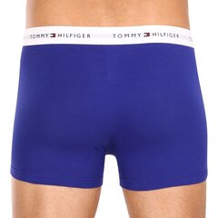 Боксеры TOMMY HILFIGER 3P Trunk UM0UM027610WZ цена и информация | Мужские трусы | kaup24.ee