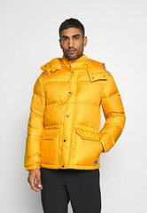 Meeste jope The North Face NF0A4QZI kollane M hind ja info | Meeste joped | kaup24.ee