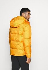 Meeste jope The North Face NF0A4QZI kollane M hind ja info | Meeste joped | kaup24.ee