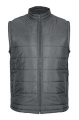 Pantoneclo meeste vest - NYLN-017 (DK Gray) цена и информация | Мужские жилетки | kaup24.ee