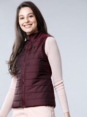 Pantoneclo tepitud vest naistele hind ja info | Naiste vestid | kaup24.ee